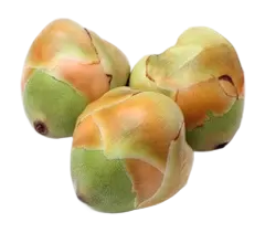 Coconut